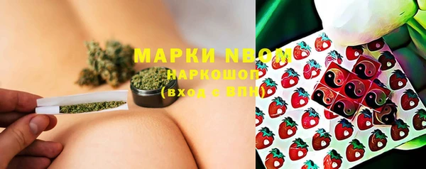 винт Алзамай